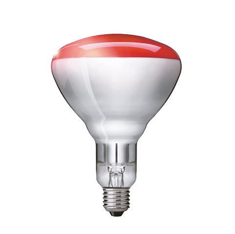 Philips Bombilla Infraroja BR125 IR 250W E27 230-250V Roja 57521025