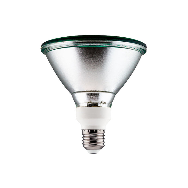 LDV Bombilla LED PAR38 K.VERDE 11W 120º E27