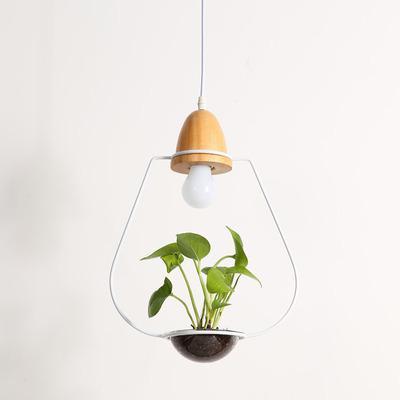 Zox - Modern Nordic Iron Pendant Planter Lamp